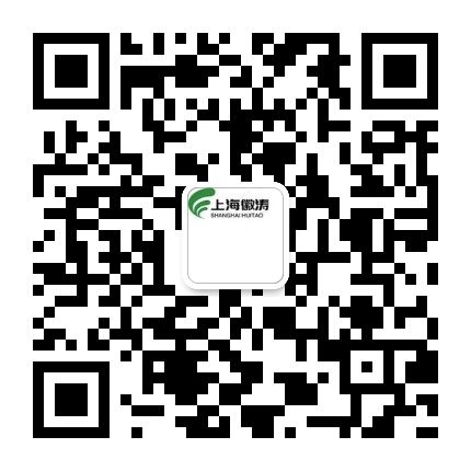 上海蜜桃视频网站WWW测试仪